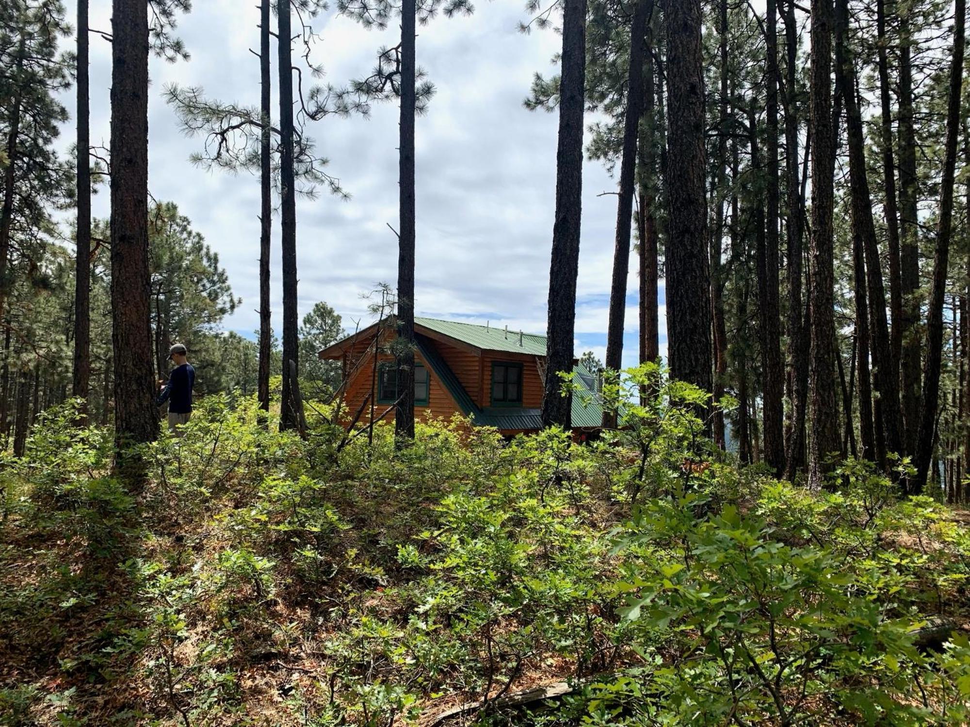 Bear Paw Lodge & Vacation Homes Vallecito 외부 사진